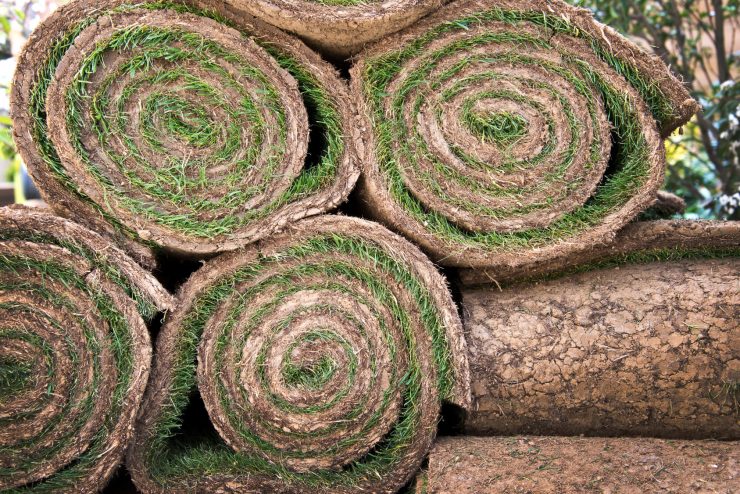 Rollrasen kaufen ab 1,89 € / m² Inkl. Lieferung XXLRatgeber
