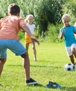 Sport- und Spielrasen