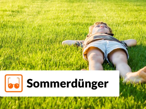 Rollrasen Rudi Rasen Sommerdünger