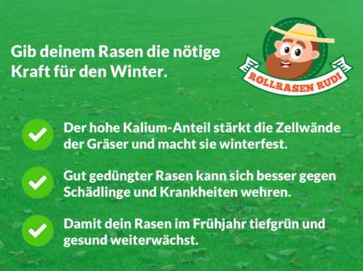 Rollrasen Rudi Herbstdünger – Bild 2