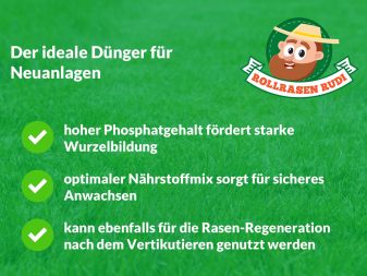 Rollrasen Dungen Wie Wann Und Womit Den Rollrasen Dungen