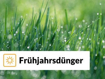 Premium Rasen Fruhjahrsdunger Inkl Lieferung Rollrasen Rudi