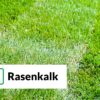 Rollrasen Rudi Rasenkalk Gartenkalk