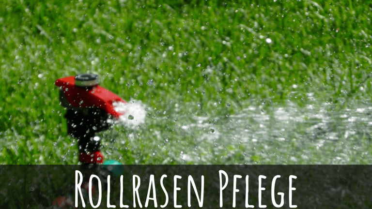 3 einfache Rollrasen Anleitungen für's perfekte Grün » Rollrasen Rudi