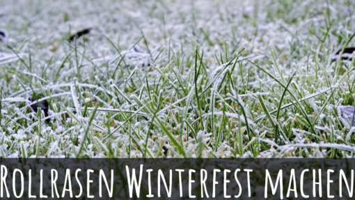 3 einfache Rollrasen Anleitungen für's perfekte Grün » Rollrasen Rudi
