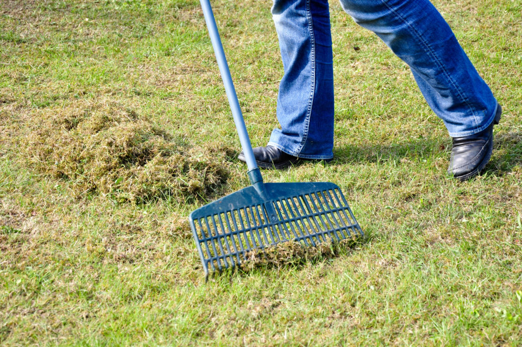 rasen belüften vorbereitung