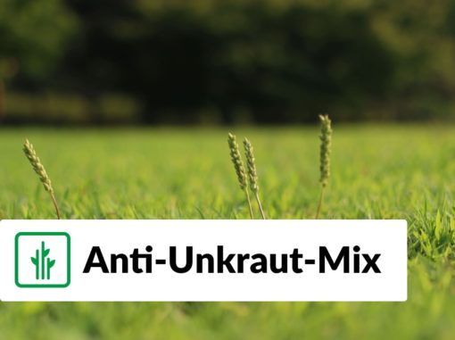 Rollrasen Rudi Anti-Unkraut-Mix