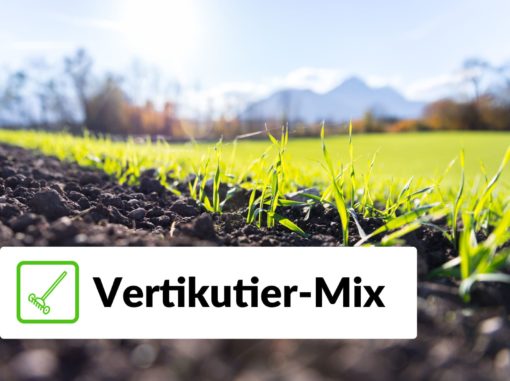 Rollrasen Rudi Vertikutier-Mix