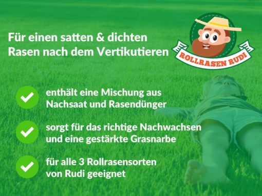 Rollrasen Rudi Vertikutier-Mix – Bild 2