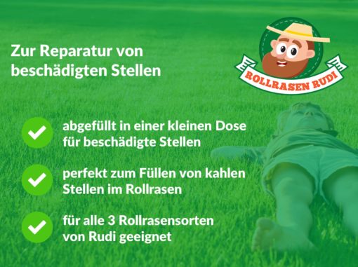 Rollrasen Rudi Reparatur-Mix (Nachsaat) – Bild 2
