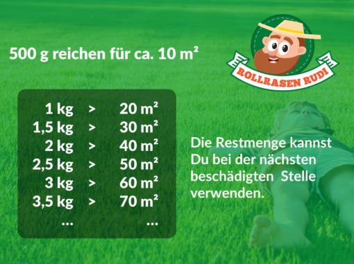 Rollrasen Rudi Reparatur-Mix (Nachsaat) – Bild 3
