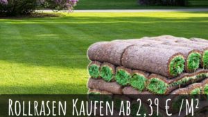 Rollrasen kaufen ab 2,39 pro qm