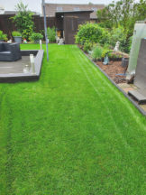 Premium-Rollrasen versandfrei online kaufen » Preise & Termine