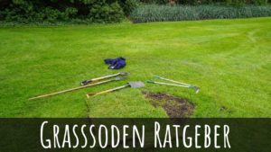 Grassoden / Rasensoden abtragen, entfernen und neu verlegen