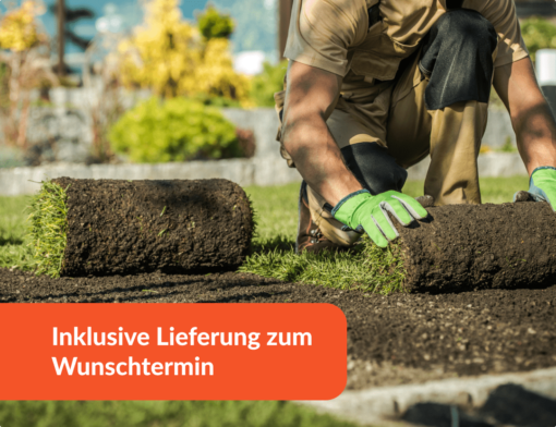 Rollrasen auf alten Rasen verlegen » geht das? Und wenn ja, wie?