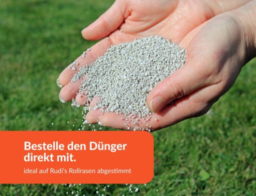 Rollrasen auf alten Rasen verlegen » geht das? Und wenn ja, wie?