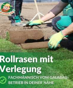 Rudis Rollrasen kaufen und direkt Verlegen lassen vom Partner Galabau-Betrieb