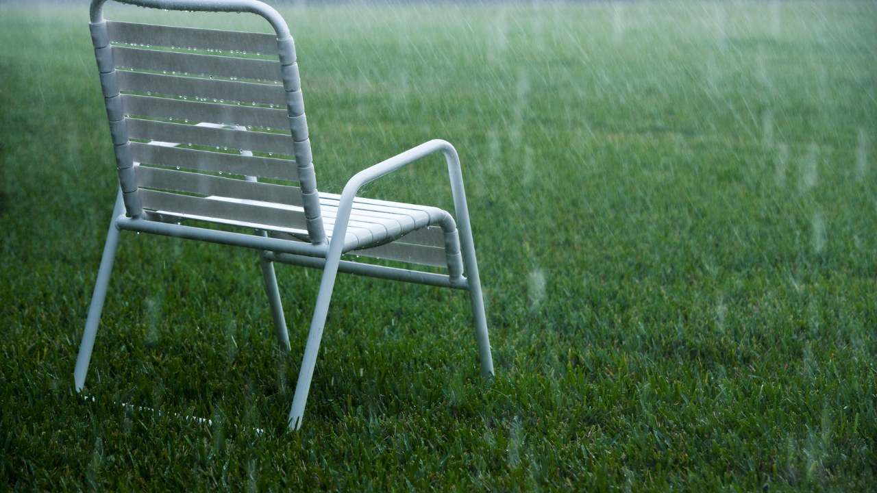 Rollrasen im Regen verlegen: Lassen oder Machen?