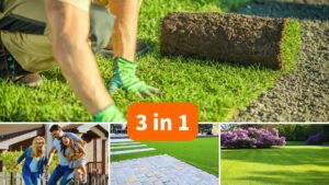 Rollrasen Rudis 3in1 Prachtrasen